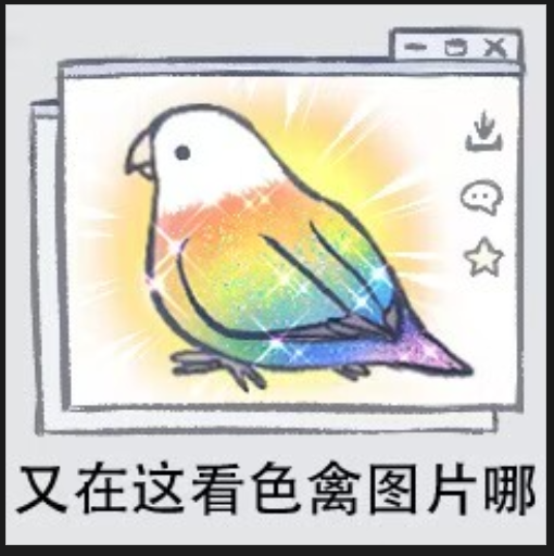Coding